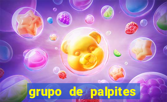 grupo de palpites de futebol whatsapp