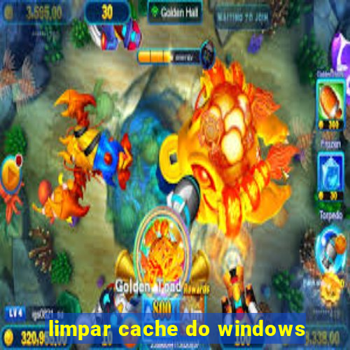 limpar cache do windows