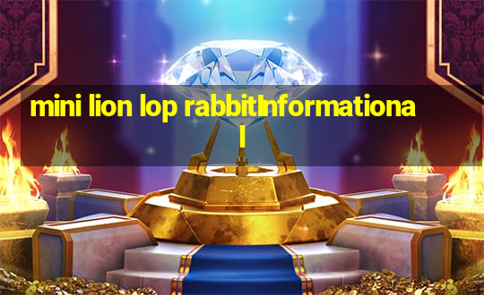 mini lion lop rabbitInformational