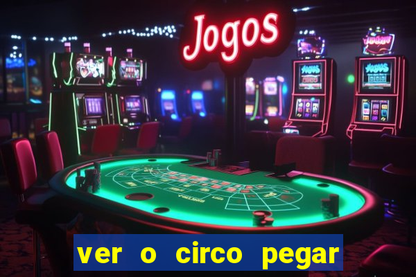 ver o circo pegar fogo significado