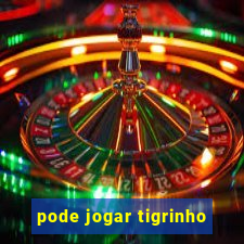 pode jogar tigrinho