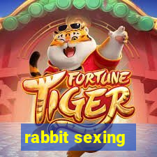 rabbit sexing