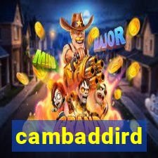 cambaddird