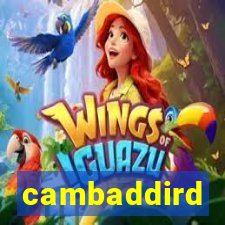 cambaddird