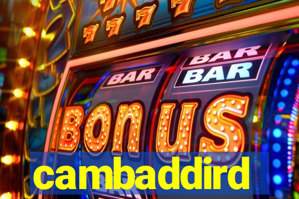 cambaddird