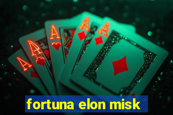 fortuna elon misk