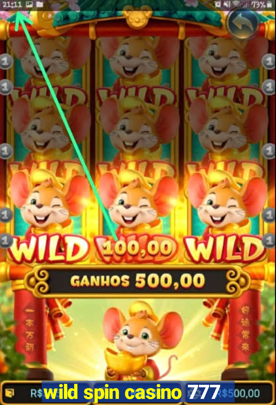 wild spin casino 777