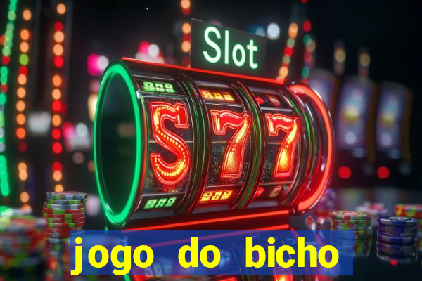 jogo do bicho truco vamos