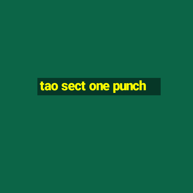 tao sect one punch