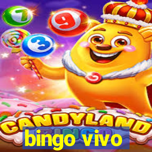 bingo vivo