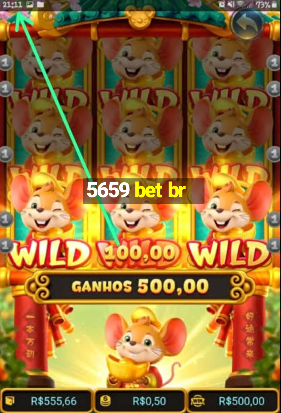 5659 bet br