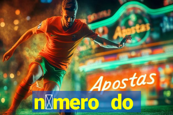 n煤mero do bate-papo da vivo