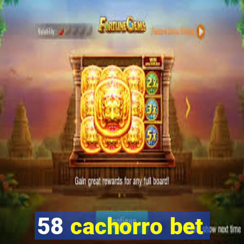 58 cachorro bet