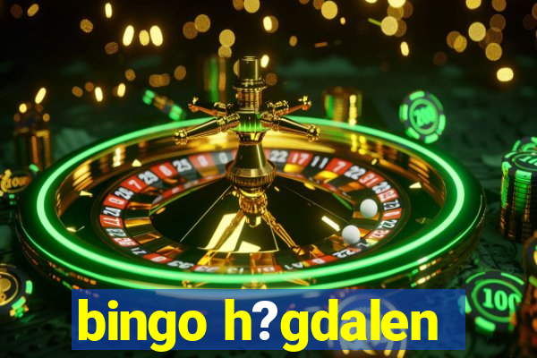 bingo h?gdalen