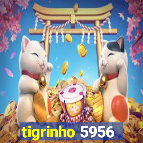 tigrinho 5956