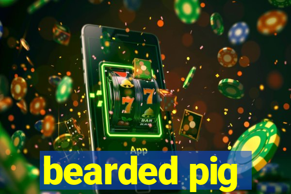 bearded pig