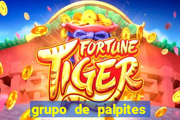 grupo de palpites de futebol