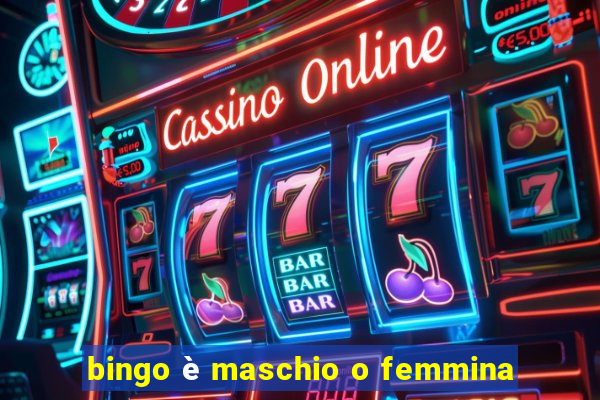 bingo è maschio o femmina