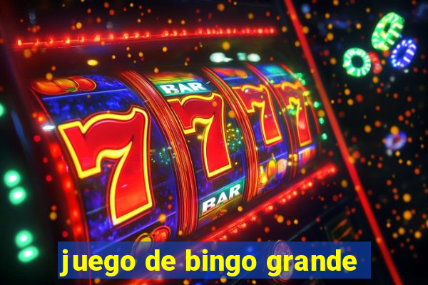 juego de bingo grande