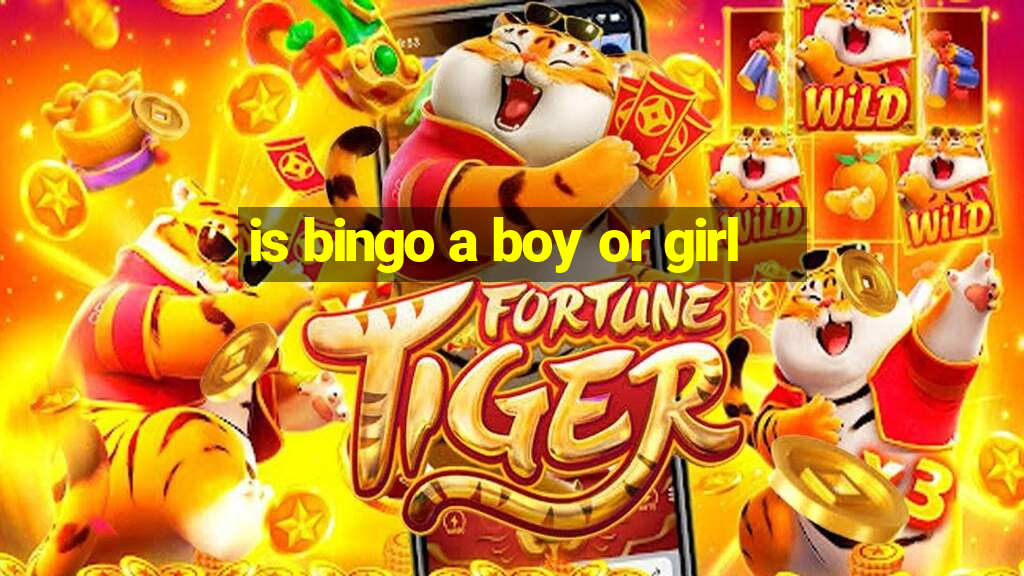 is bingo a boy or girl