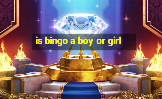 is bingo a boy or girl