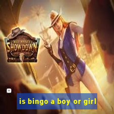 is bingo a boy or girl