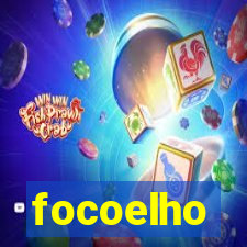 focoelho