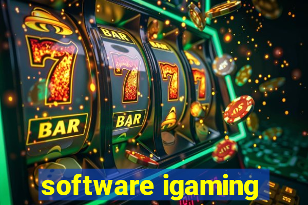 software igaming