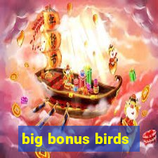 big bonus birds