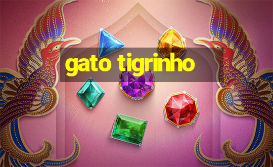 gato tigrinho