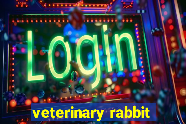 veterinary rabbit