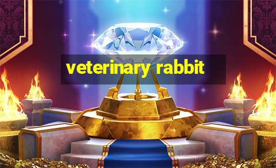 veterinary rabbit