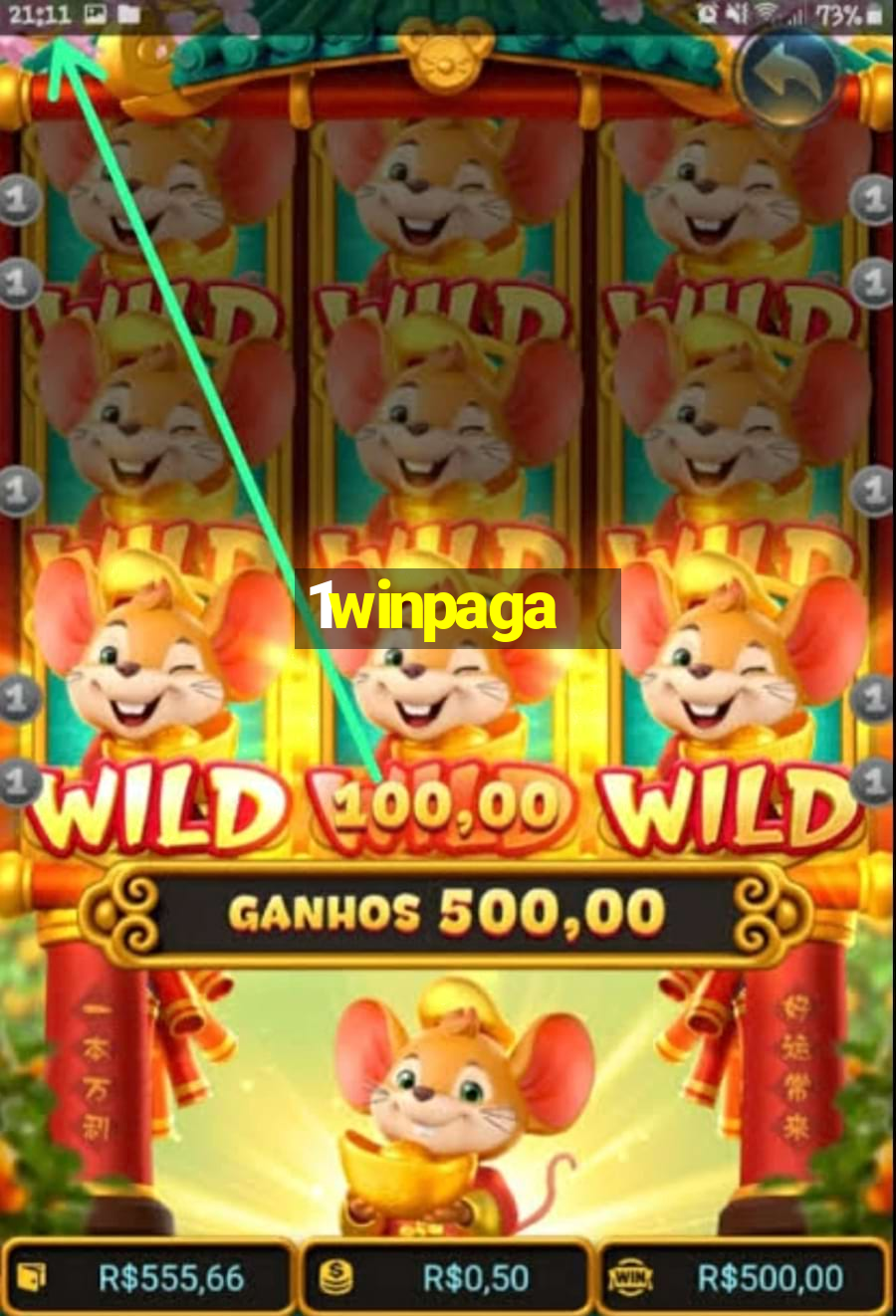 1winpaga