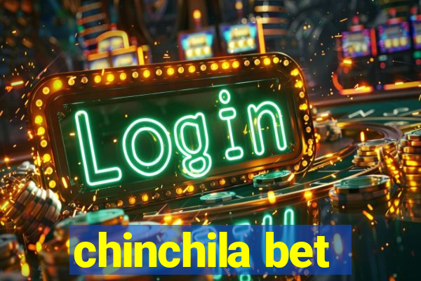 chinchila bet