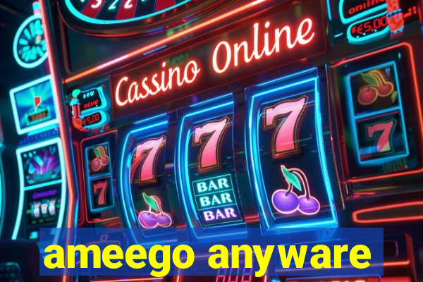 ameego anyware