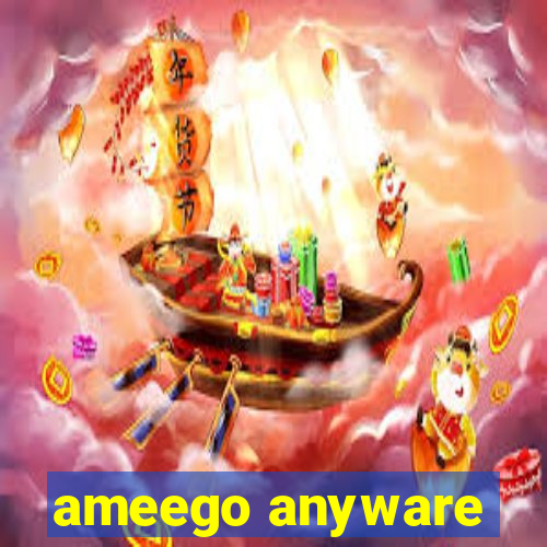 ameego anyware