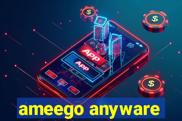 ameego anyware