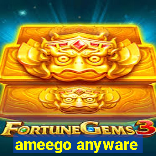 ameego anyware