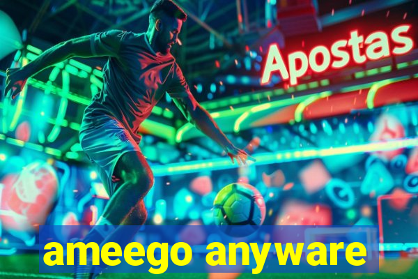 ameego anyware