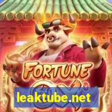 leaktube.net