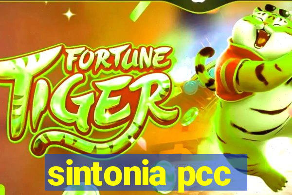 sintonia pcc