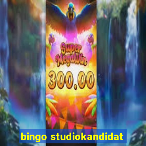 bingo studiokandidat