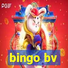 bingo bv