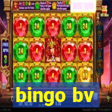 bingo bv