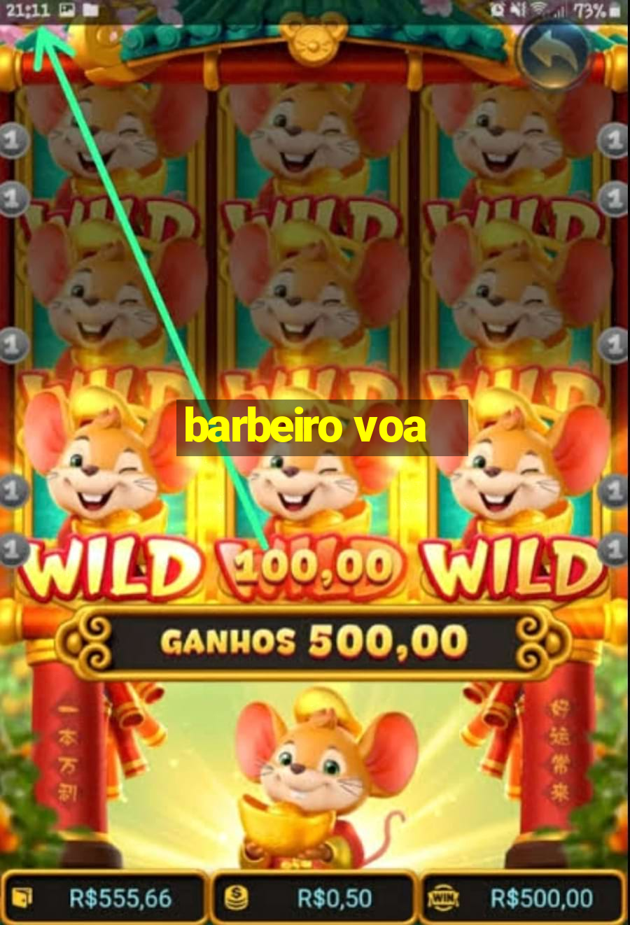 barbeiro voa