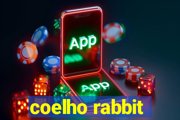 coelho rabbit