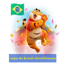 copa do brasil classificacao