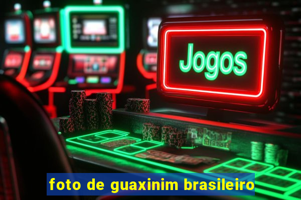 foto de guaxinim brasileiro