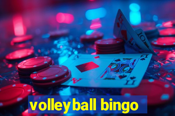 volleyball bingo