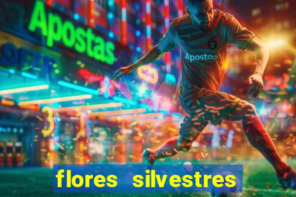 flores silvestres desbravadores desbravadores 25 flores silvestres e seus nomes